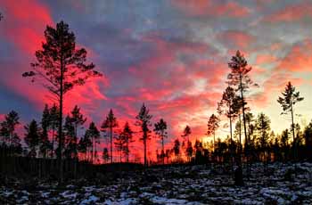 Afton över elljusspåret